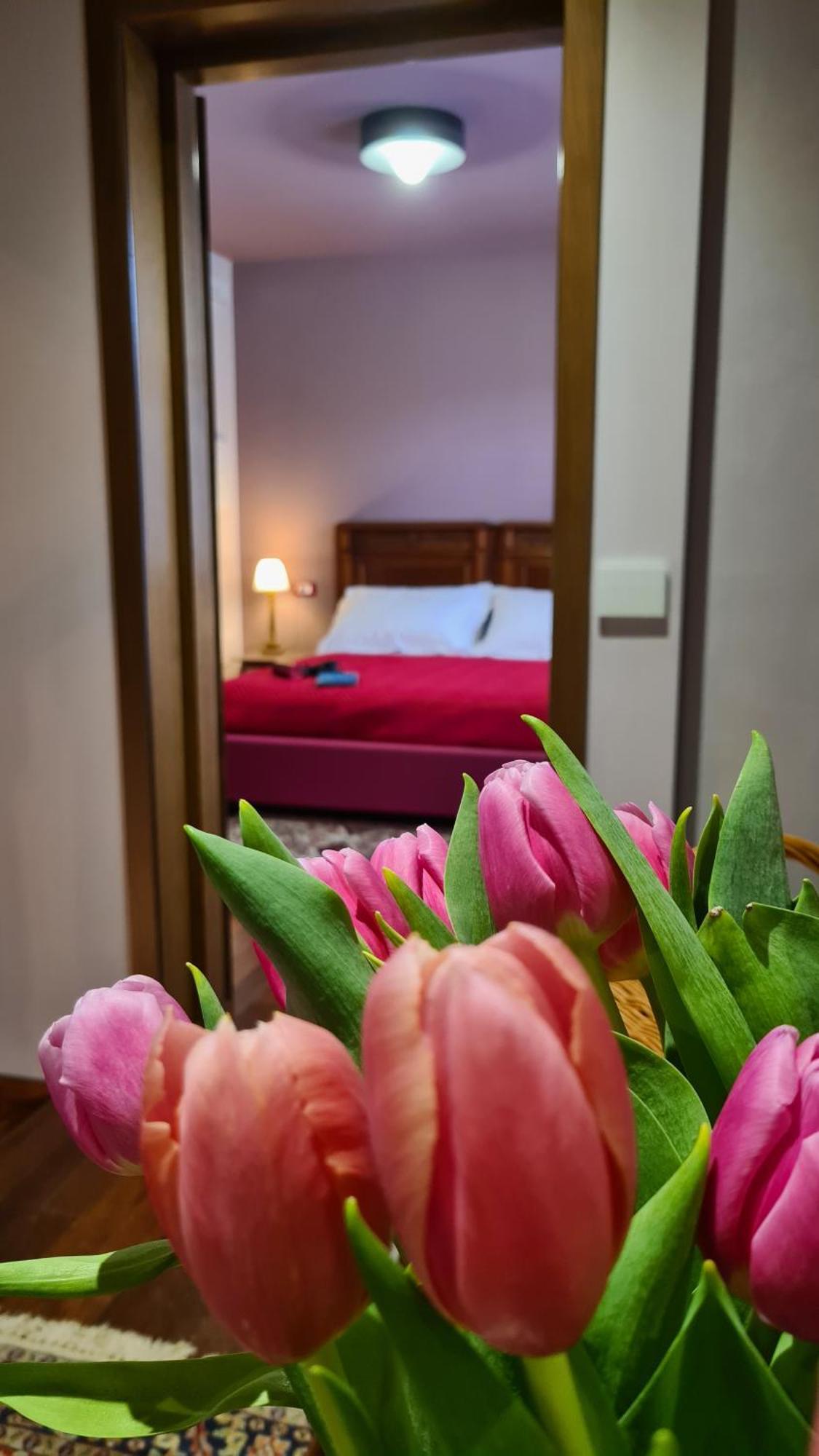 Zi Bitta - Guest House Пальманова Экстерьер фото